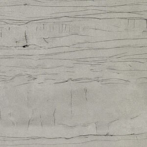 Beau Blanc quartzite close-up texture