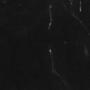 Black Diamond Black Diamond granite slab