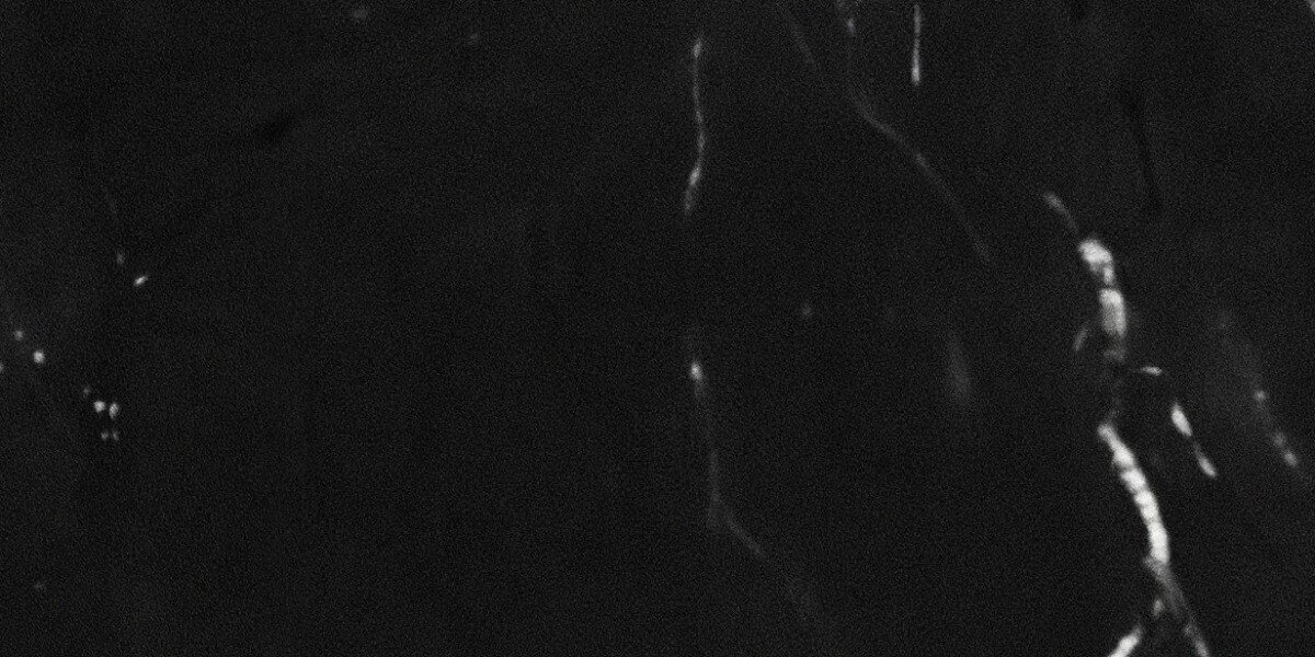 Black Diamond granite close-up texture