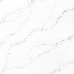 Calacatta Savoy quartz close-up texture