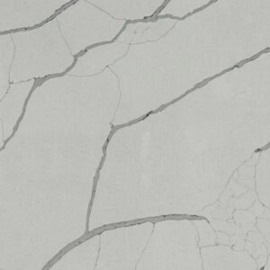 Michelangelo Gold quartz close-up texture