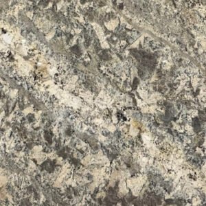 Netuno Bordeaux granite close-up texture
