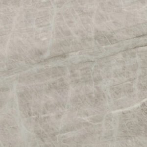 Sea Pearl Leather quartzite close-up texture