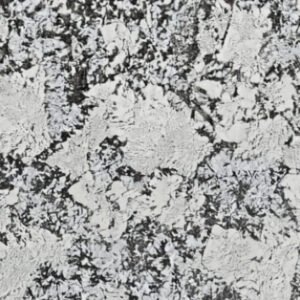 White Delicatus granite close-up texture